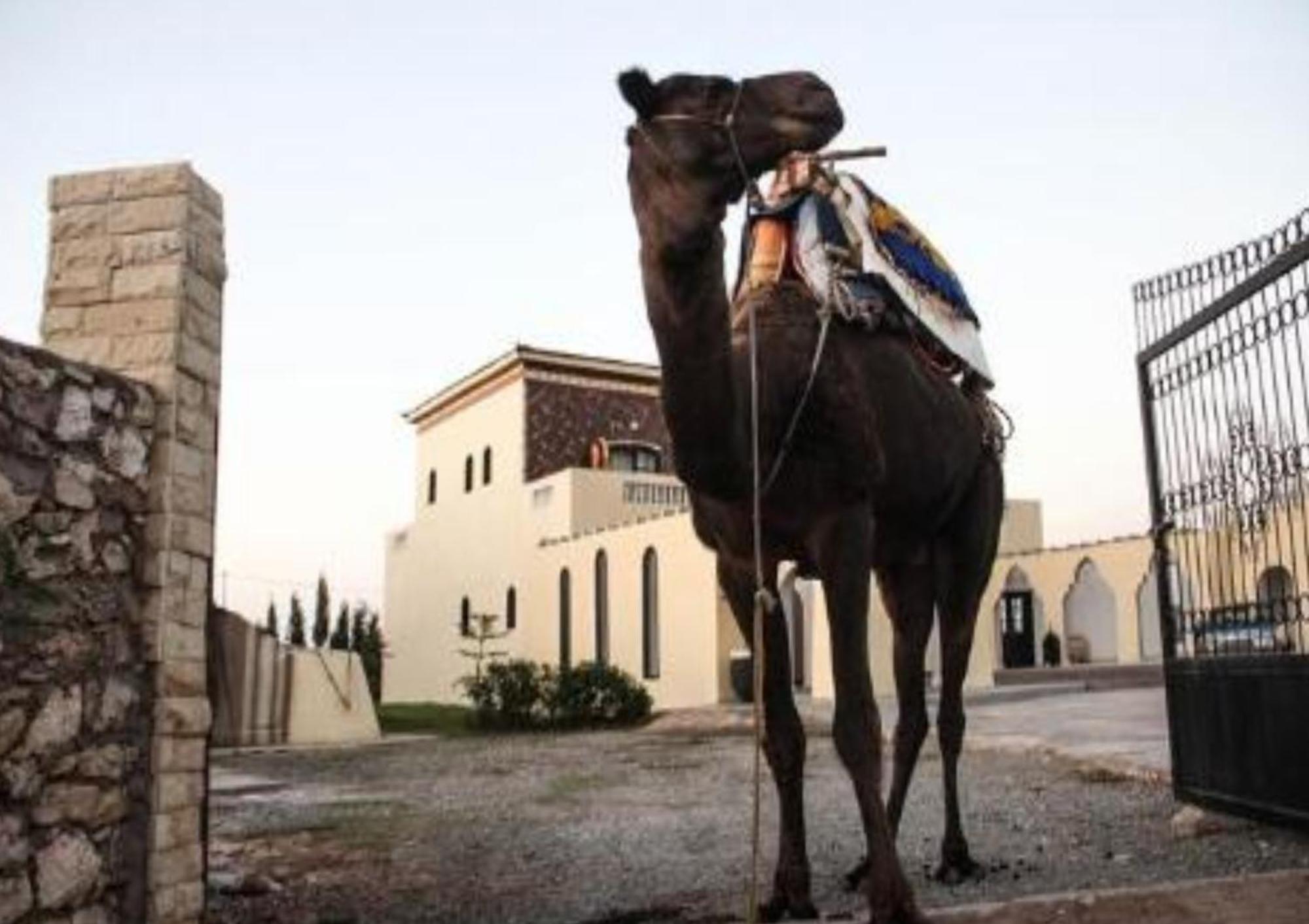 Sidi Kaouki Ayt Karoum Hotel Luaran gambar
