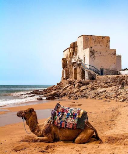 Sidi Kaouki Ayt Karoum Hotel Luaran gambar